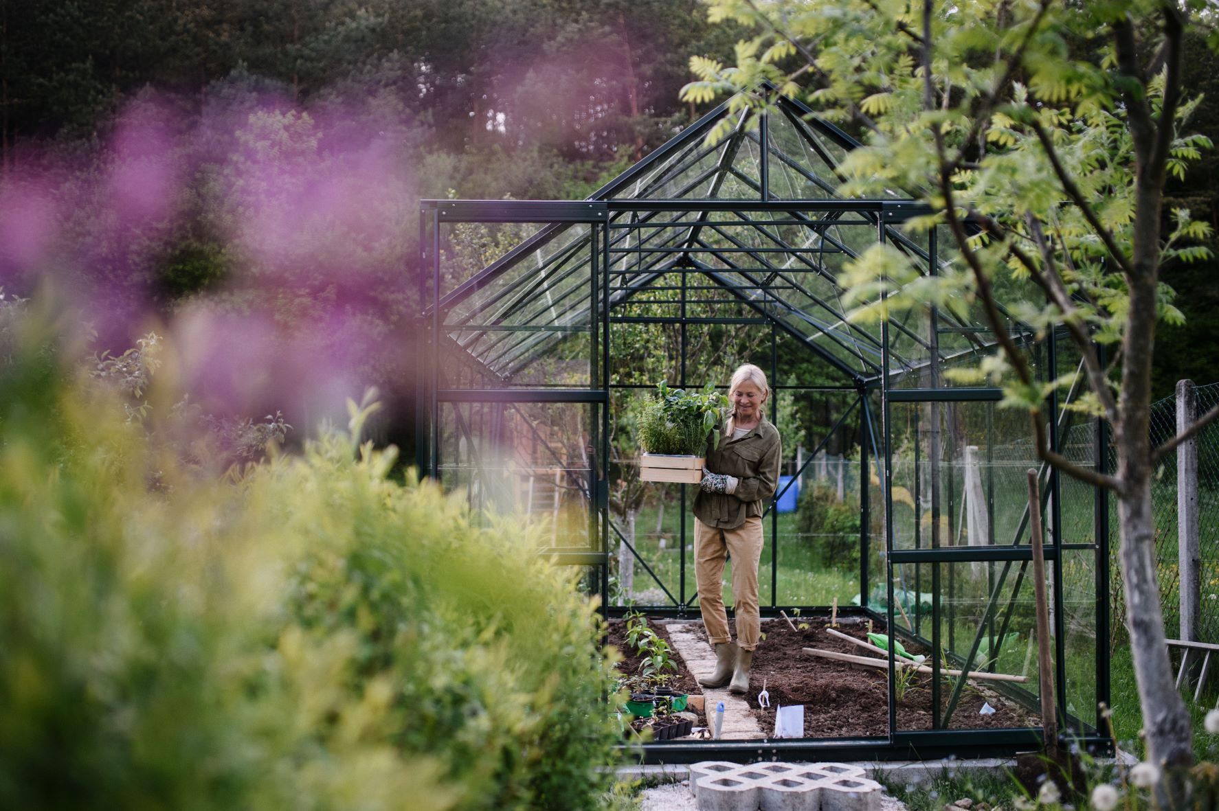 What should I put in my garden for beginners